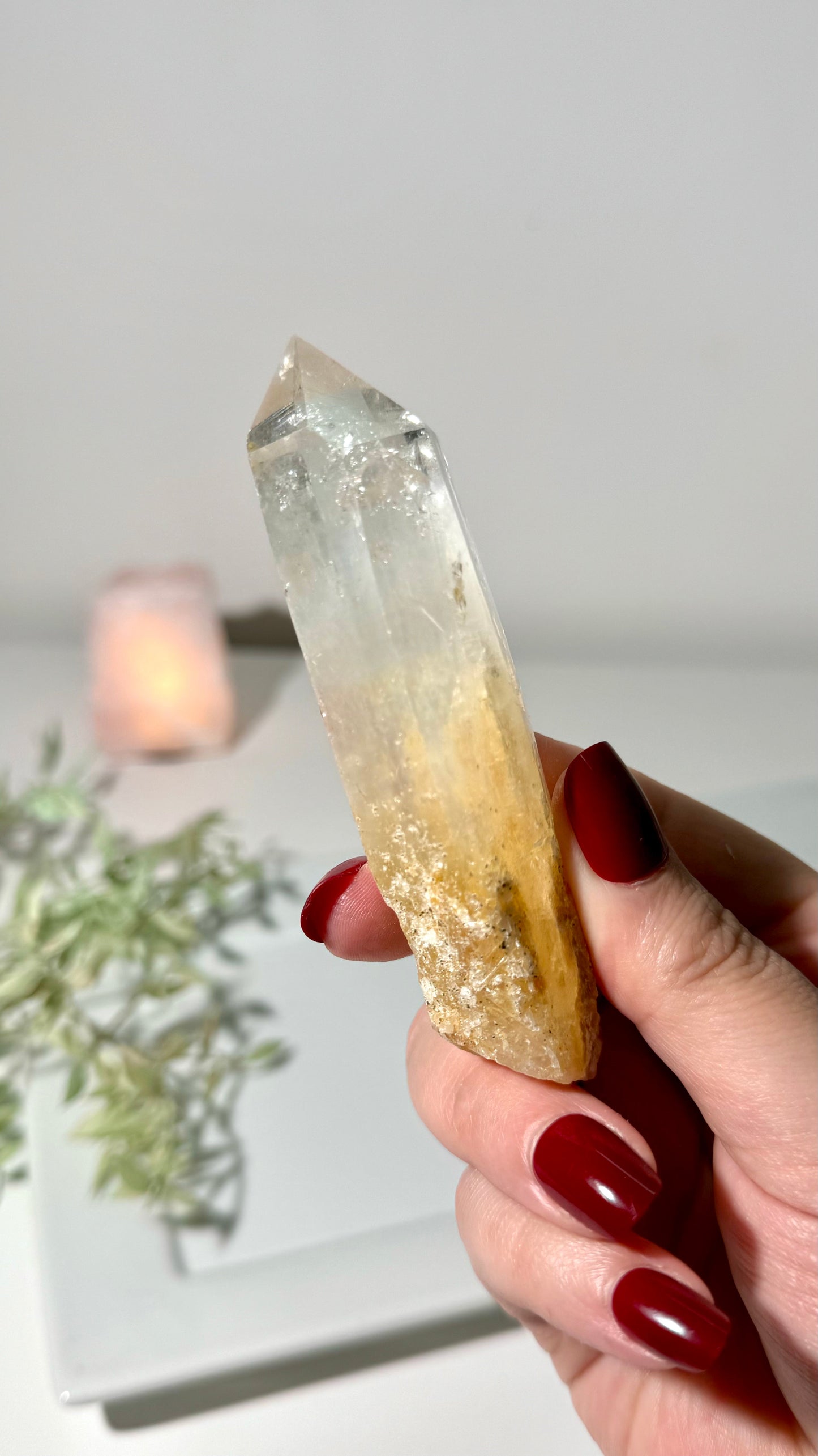 Blue Smoke Golden Healer Lemurian (DP)