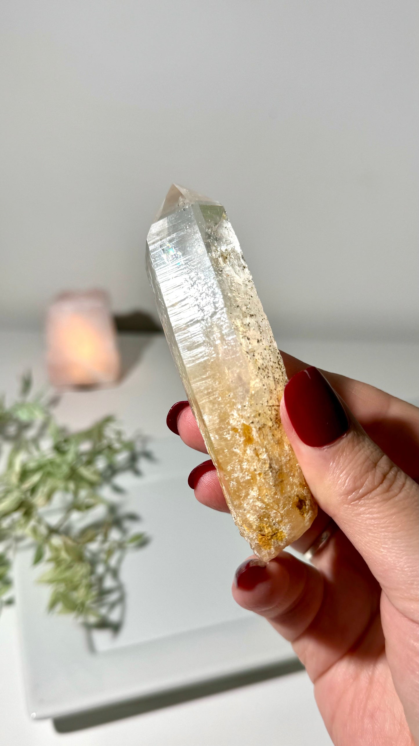 Blue Smoke Golden Healer Lemurian (DP)