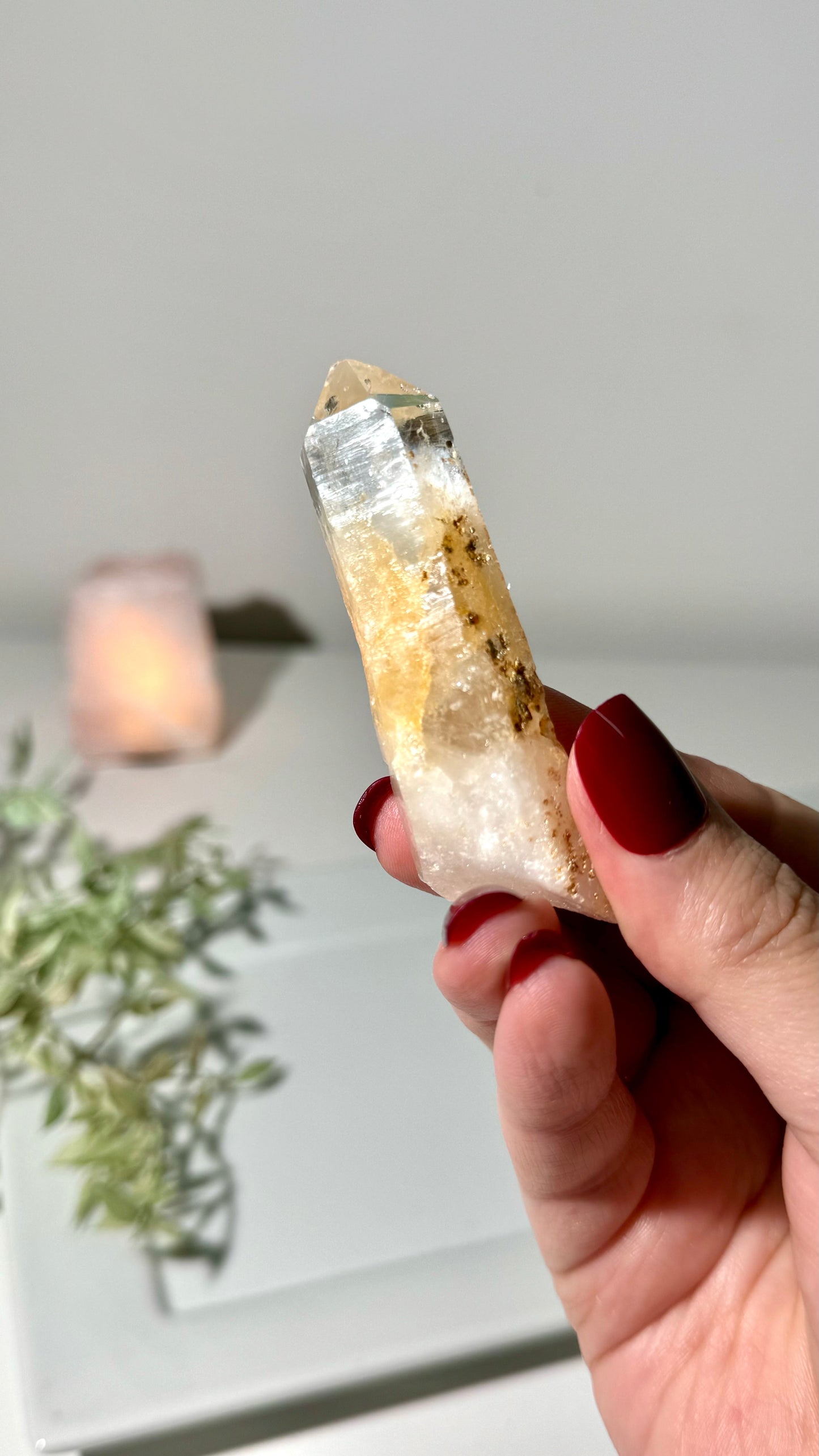 Blue Smoke Golden Healer Lemurian