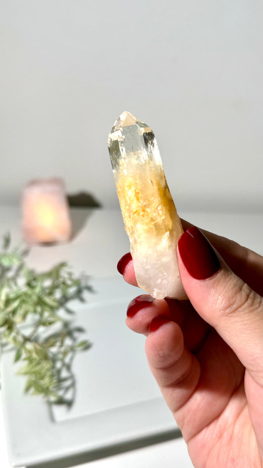 Blue Smoke Golden Healer Lemurian