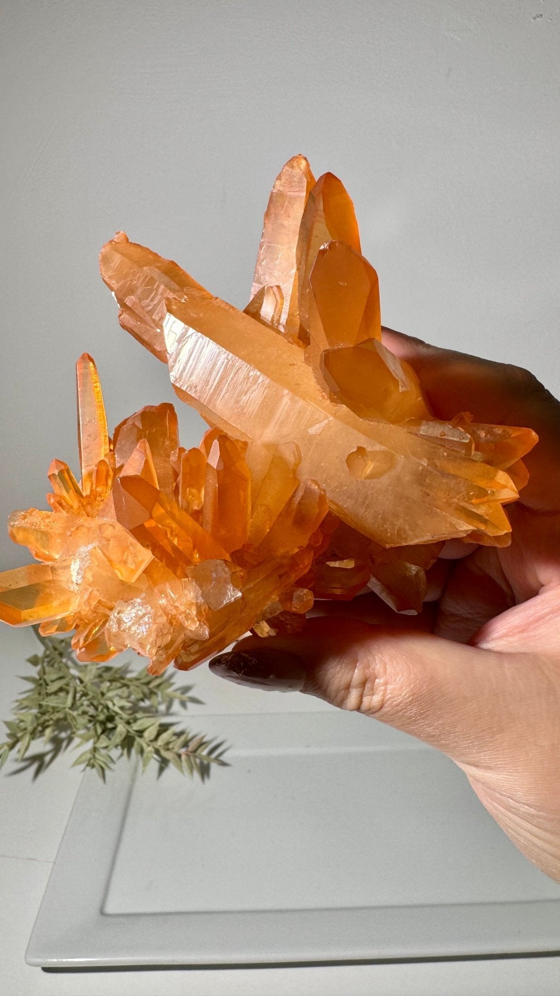 Tangerine Lemurian rare cluster - The Crystal Therapy